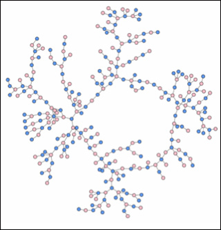 Diagram of a high school dating network. The general shape of this network is a ring with branches coming off of the main ring. Diagram of a high school dating network. The general shape of this network is a ring with branches coming off of the main ring.