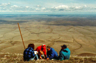 Ecosystem monitoring at the Department of Energy's Hanford Site. Ecosystem monitoring at the Department of Energy's Hanford Site.